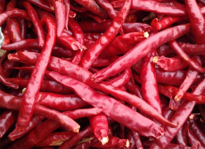 Chile de Yunnan
